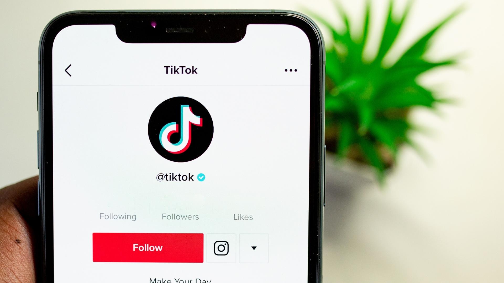 TikTok: como o aplicativo tem ajudado empreendedores?